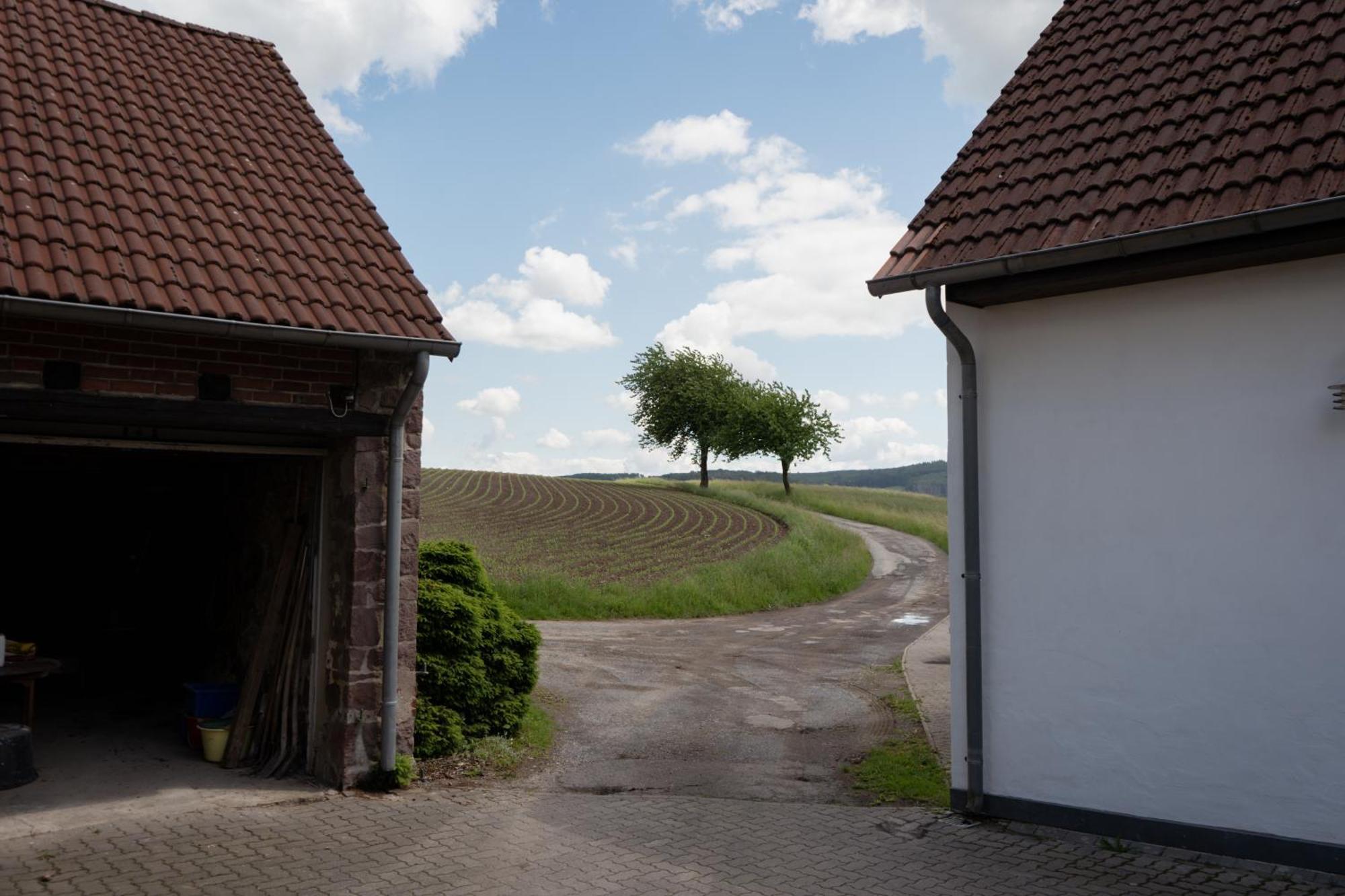 Idyllische Ferienwohnung Im Kalletal المظهر الخارجي الصورة