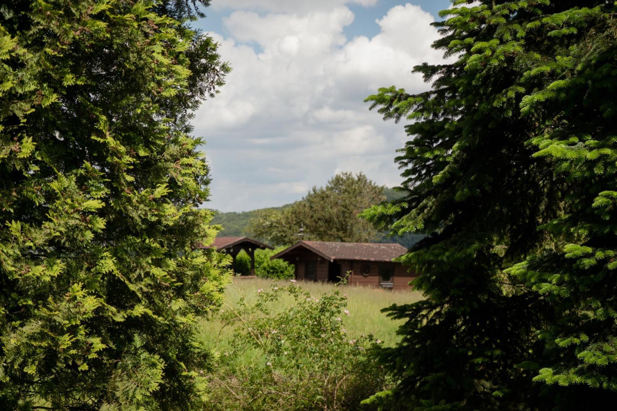 Idyllische Ferienwohnung Im Kalletal المظهر الخارجي الصورة